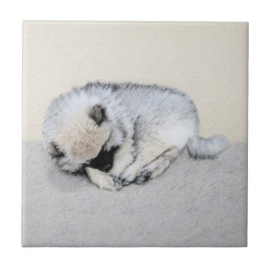 Keeshond Spip Puppy Painting Original Hund Art Kakelplatta