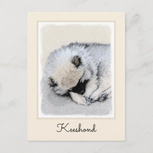 Keeshond Spip Puppy Painting Original Hund Art Vykort