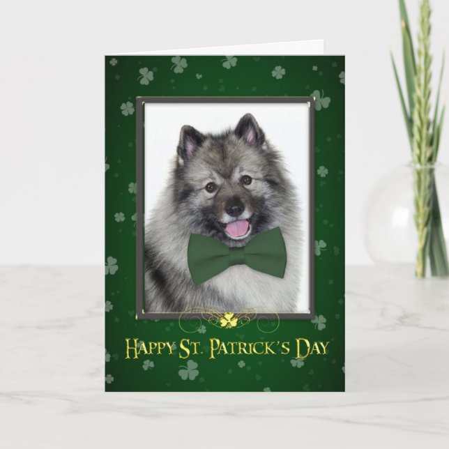 Keeshond St. Patrick's Day Card Kort (Framsida)