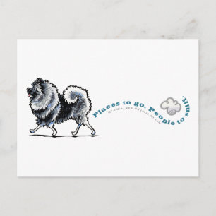 Keeshond Ställe to Go Vykort