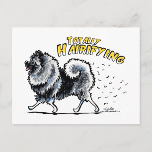 Keeshond Totally Hairifying Vykort