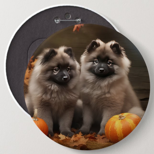 Keeshond Valp Autumn Delight Pumpkin Knapp (Framsida & baksida)