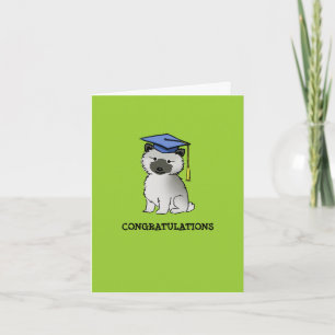 Keeshond Valp Examen Kort