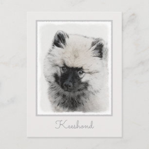 Keeshond Valp Teckning - Söt Original Hund Konst Vykort
