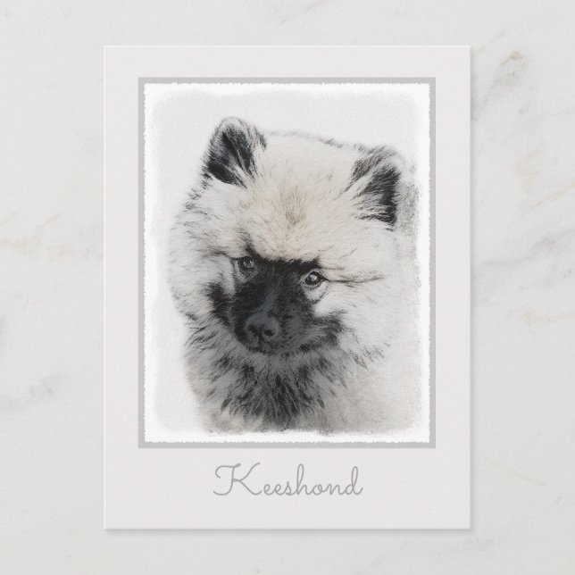 Keeshond Valp Teckning - Söt Original Hund Konst Vykort (Framsida)