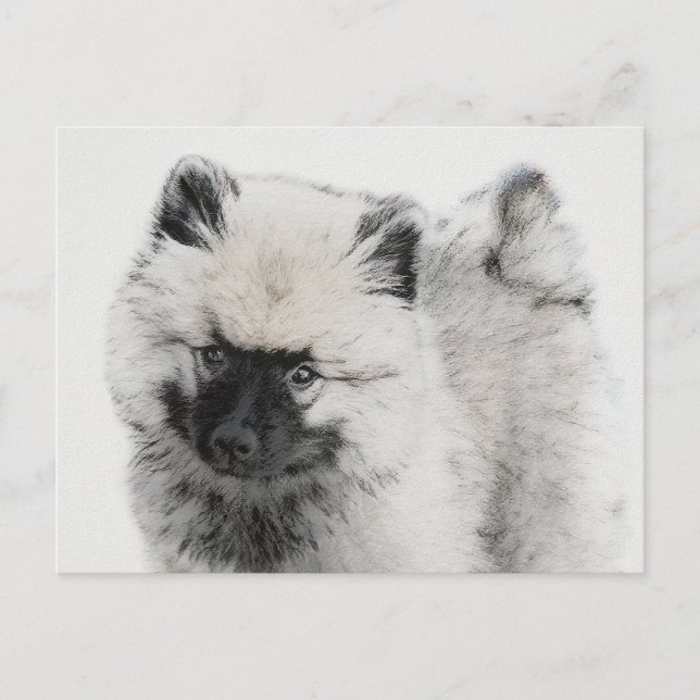 Keeshond Valp Teckning - Söt Original Hund Konst Vykort (Framsida)