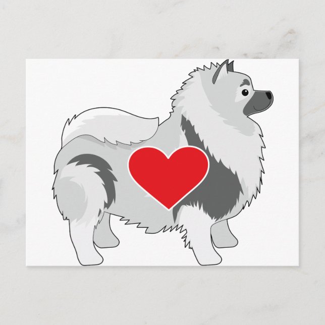 Keeshond Vykort (Framsida)