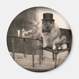 Keeshondgentleman eftermiddag magnet