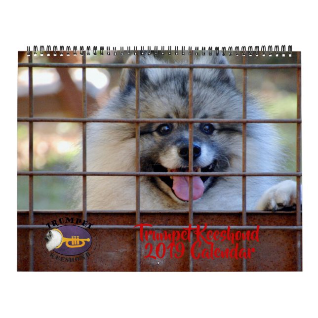 Keeshondkalender för trumpet 2019 kalender (Omslag)