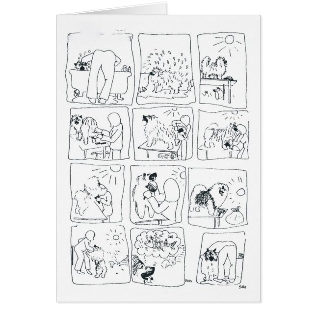 Keeshondtecknad Bathtime Hälsningskort (Framsidan)