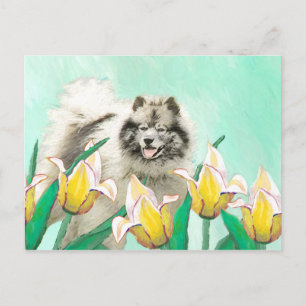 Keeshoni Tulips Painting Cute Original Hund Art Vykort