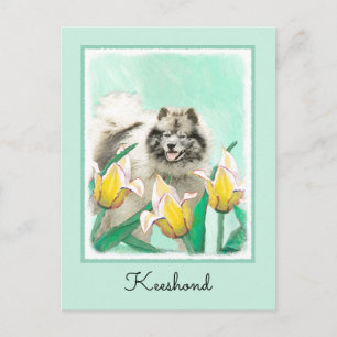 Keeshoni Tulips Painting Cute Original Hund Art Vykort
