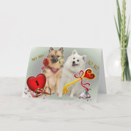 Keeshont Valentine Twosome Card Helgkort