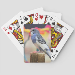 Keet Casinokort