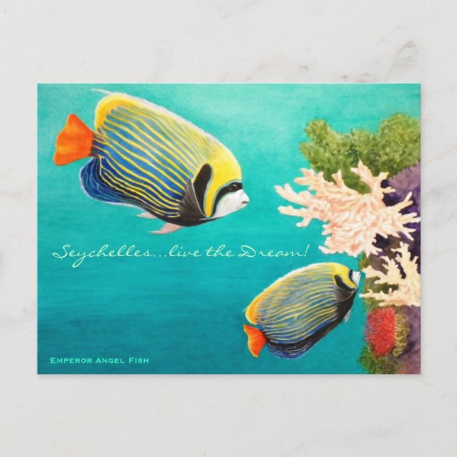 Kejsareängel Vykort (Framsida)