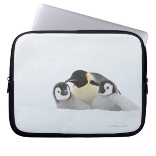 Kejsarepingvin (Aptenodytesforsteri) 2 Laptop Fodral