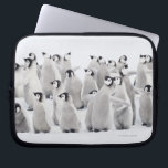 Kejsarepingvin (Aptenodytesforsterien) Laptop Fodral<br><div class="desc">Kejsarepingvin (Aptenodytesforsterien)</div>
