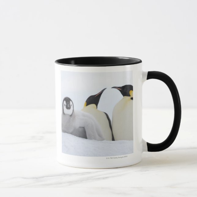 Kejsarepingvin (Aptenodytesforsterien) Mugg (Höger)