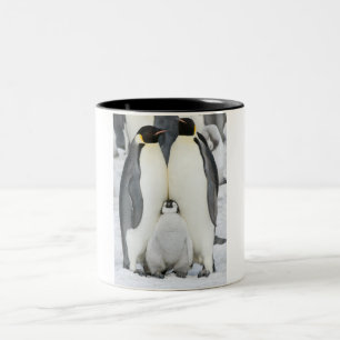 Kejsarepingvin med chicken - mugg