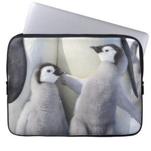 Kejsarepingvinchick Laptop Fodral