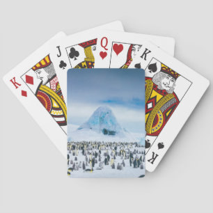 Kejsarepingvinkoloni Casinokort