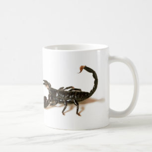 KejsareScorpionmugg/kopp Kaffemugg