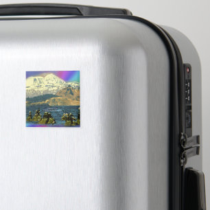 Kejsargäss i Chiniak Bay nära Chiniak, Alaska Magnet