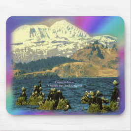 Kejsargäss i Chiniak Bay nära Chiniak, Alaska Musmatta