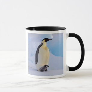 Kejsarpingvin   Aptenodytes Mugg
