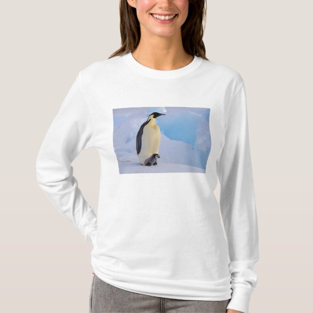 Kejsarpingvin | Aptenodytes Tee Shirt (Framsida)