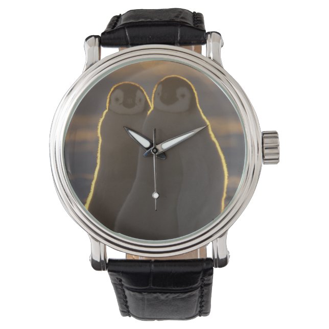 Kejsarpingviner Armbandsur (Framsida)
