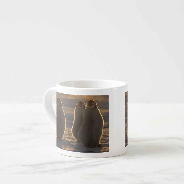Kejsarpingviner Espressomugg (Framsida vänster)
