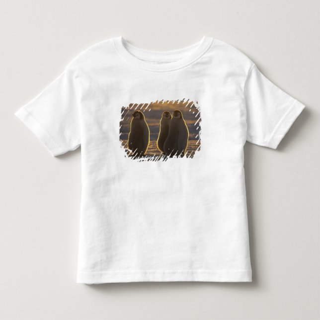 Kejsarpingviner Tee Shirt (Framsida)