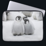 Kejsarpingvinkullar på is i Antarktis Laptop Fodral<br><div class="desc">Kejsarpingvin (Aptenodytes forsteri) ungar på is,  Snow Hill Island,  Antarktis | Keren Su / SuperStock.com | AN02 KSU0045</div>