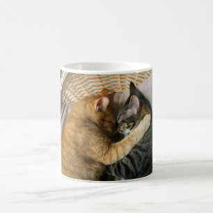Kela för två sova tabby katt kaffemugg