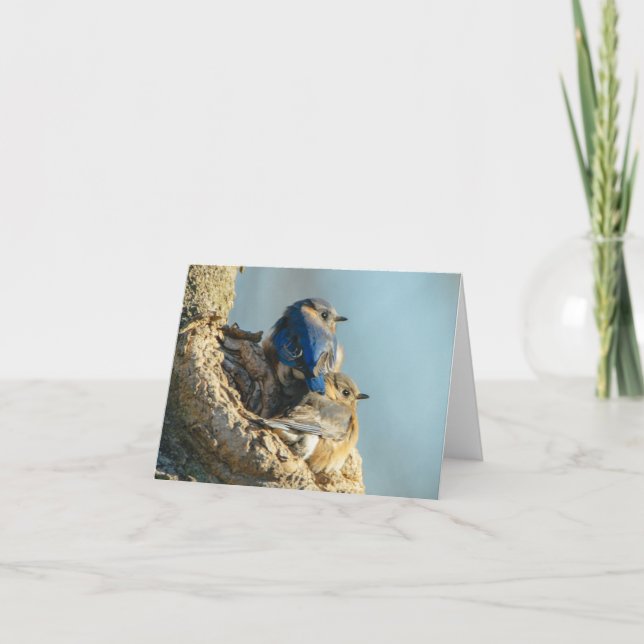 Kelig bluebirds tack kort (Framsida)