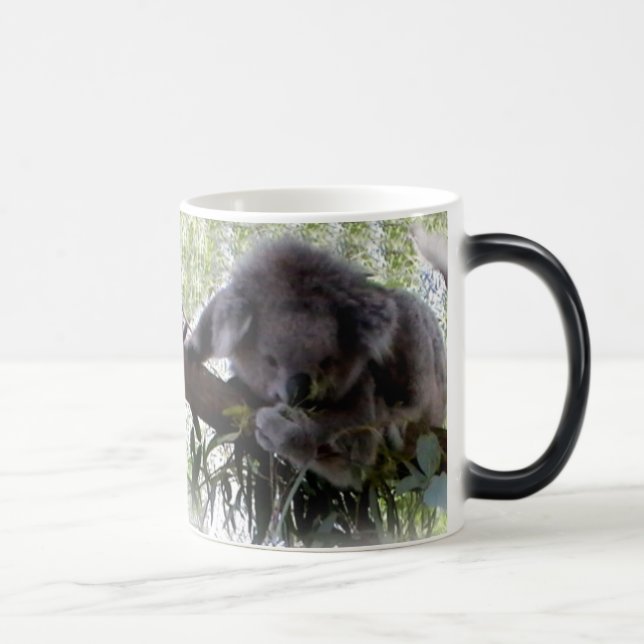Kelig Koala Magisk Mugg (Höger)