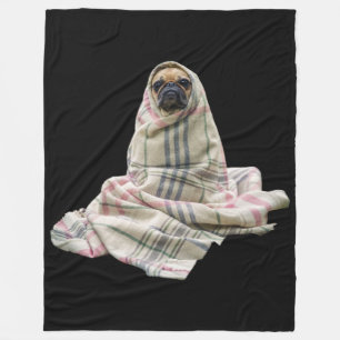 Kelig mops i en filt