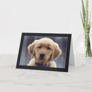 Kelly Golden Retriever Blank Greeting Card Kort