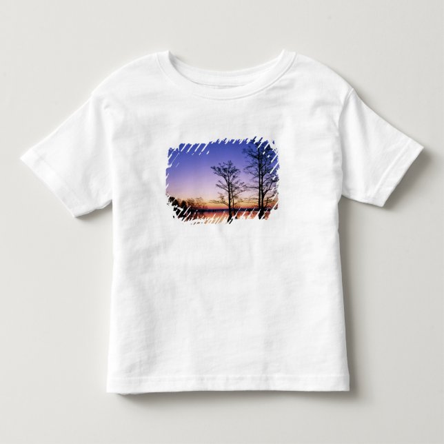 Kelp-cypress-träd silhuetterade vid solnedgång, tee (Framsida)