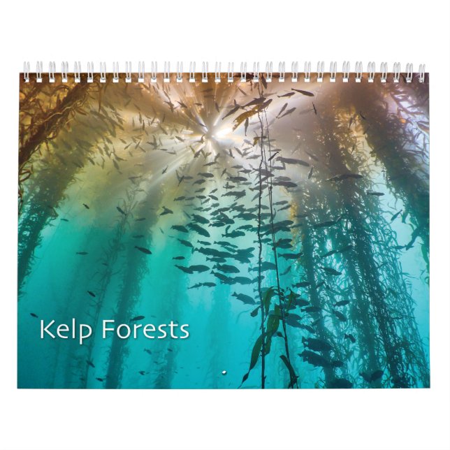 Kelp Forest Underwater Photo Calendar - Ocean Kalender (Omslag)