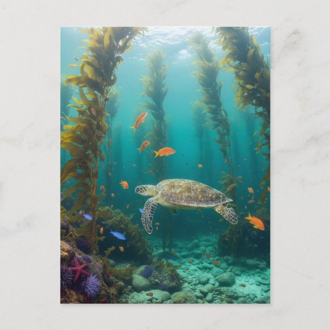 Kelp skog Kalifornien Vykort (Framsida)