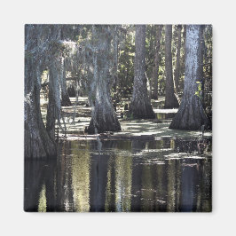 Kelpcypress Magnet