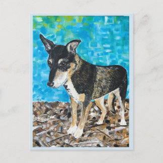 Kelpie hund vykort