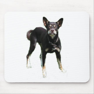 Kelpies… arbete! musmatta