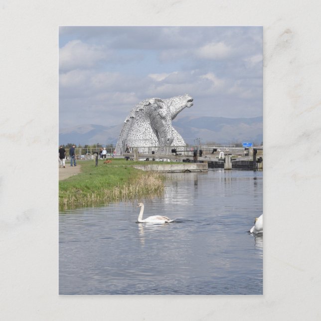 Kelpies , Helix Park , Falkirk Vykort (Framsida)