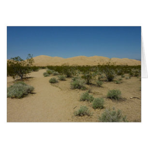 Kelso Dunes i Mojave National Park Hälsningskort