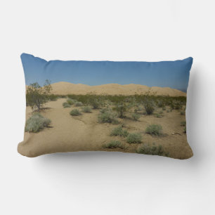Kelso Dunes i Mojave National Park Lumbarkudde