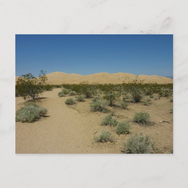 Kelso Dunes i Mojave National Park Vykort (Framsida)