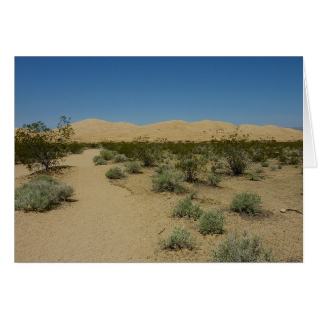 Kelso Dunes i Mojave nationalpark Hälsningskort (Framsidan Horizontal)